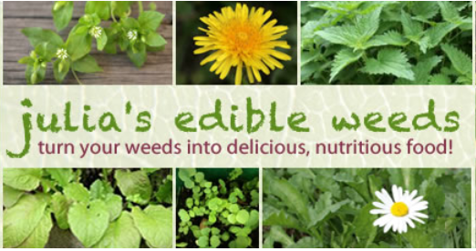 Julia's Edible Weeds